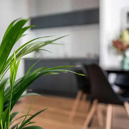 Kamienica1899 公寓