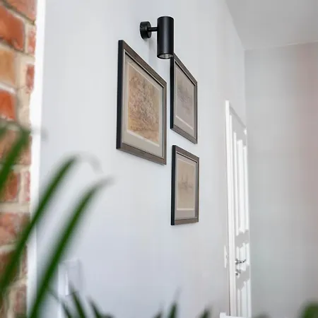 Kamienica1899 什切青