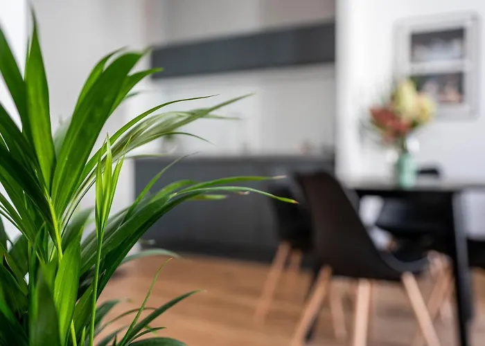 Kamienica1899 Apartmán